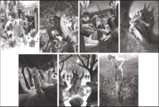 Alex Ross Comic Art Alex Ross Comic Art Universal Monsters (Set of 7)